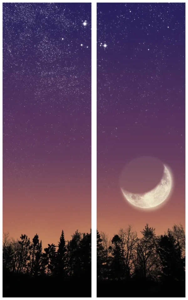 Wald-Mond Schleife