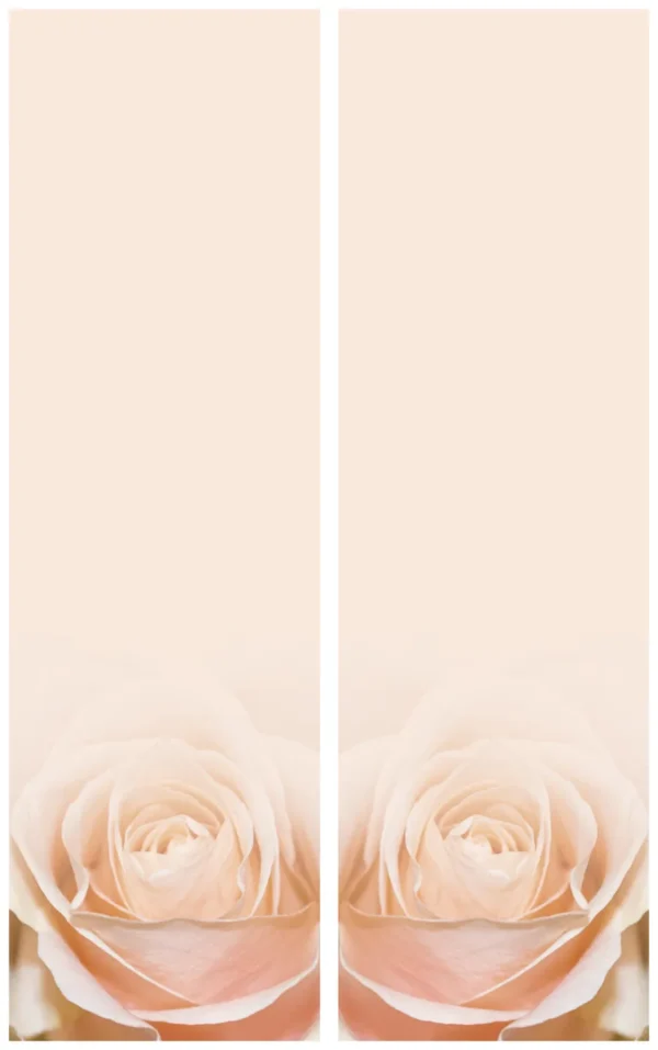 Rose Schleife