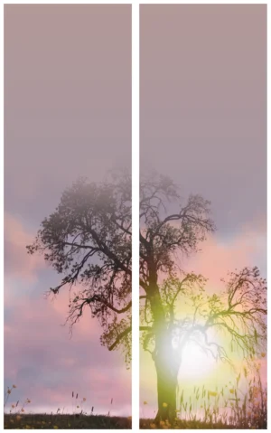Sonnenuntergang Schleife