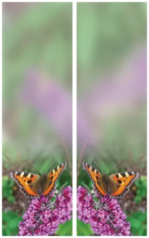 Schmetterling Schleife